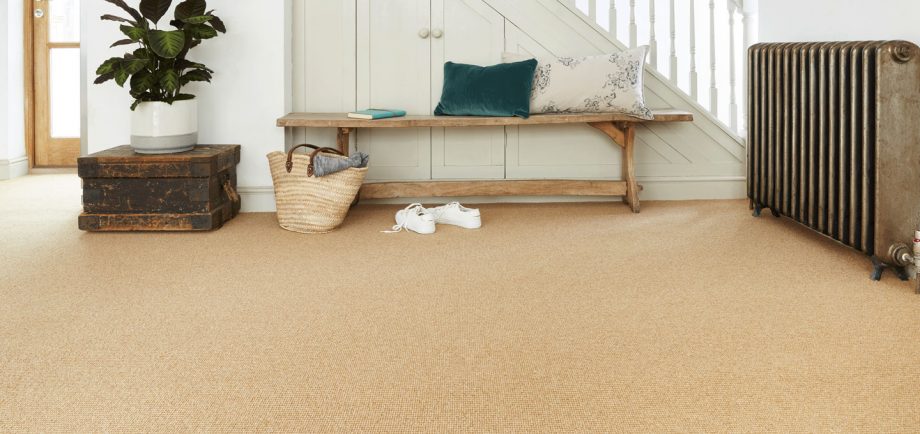 Wiltshire Cheap Carpet